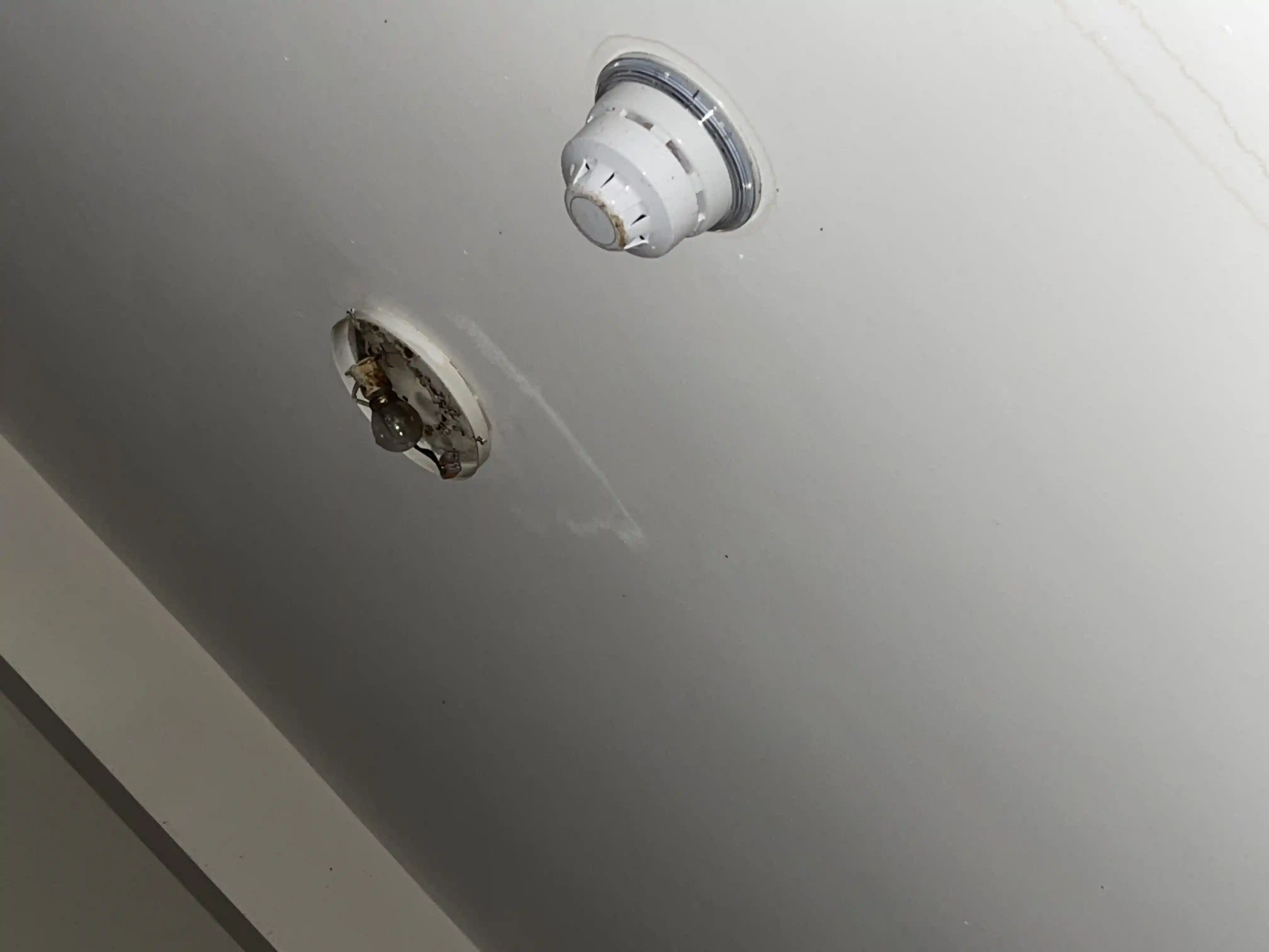 Electrician near Ponteland